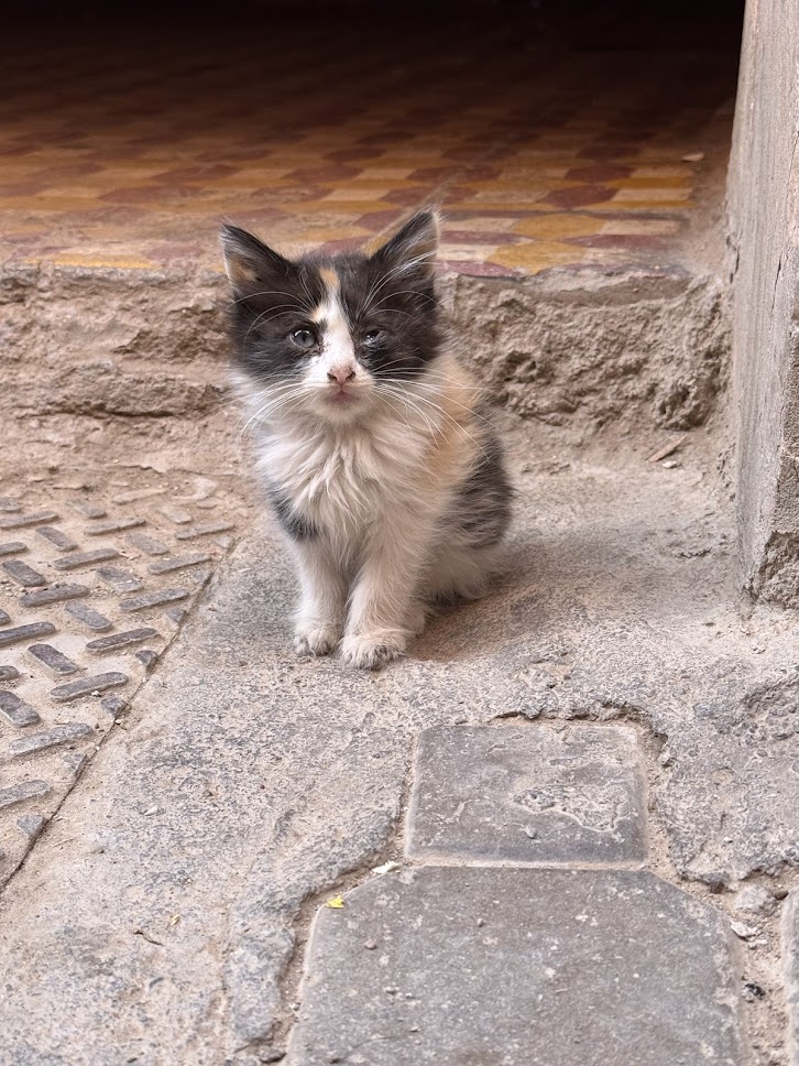 Marrakech